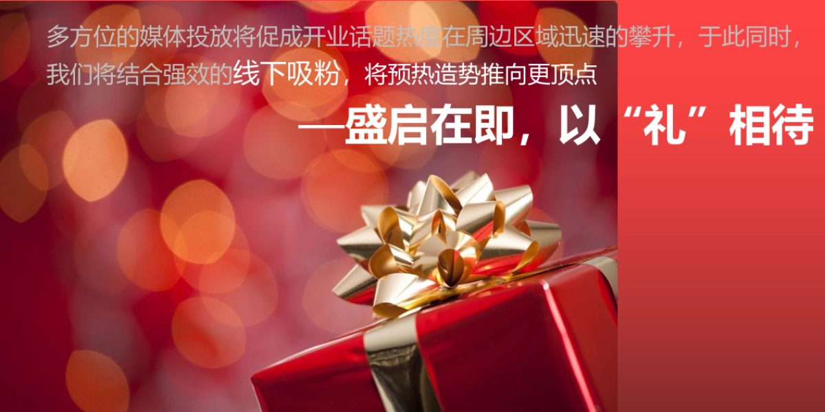 宁波瑞丰商博城开业活动策划案_第8页