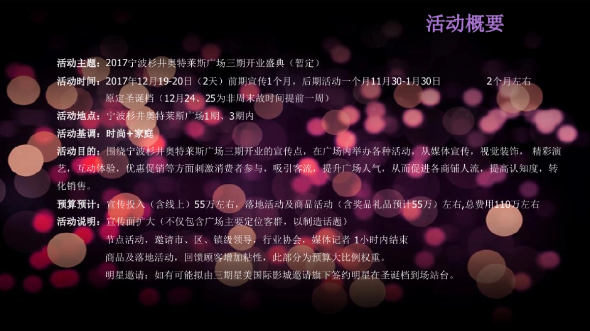 宁波杉井奥特莱斯广场三期开业盛典策划方案_第2页