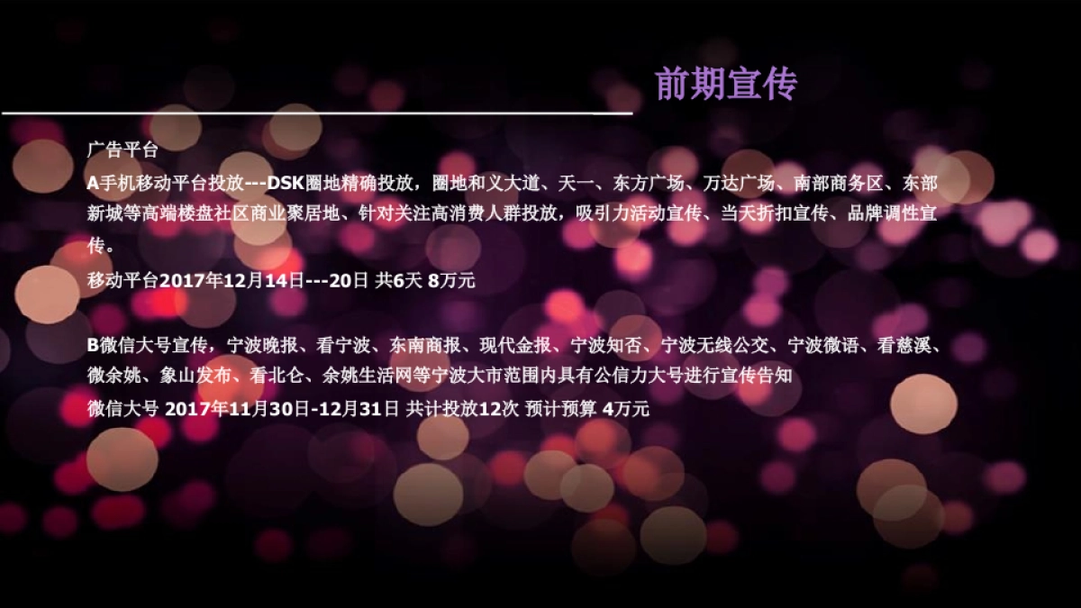 宁波杉井奥特莱斯广场三期开业盛典策划方案_第5页