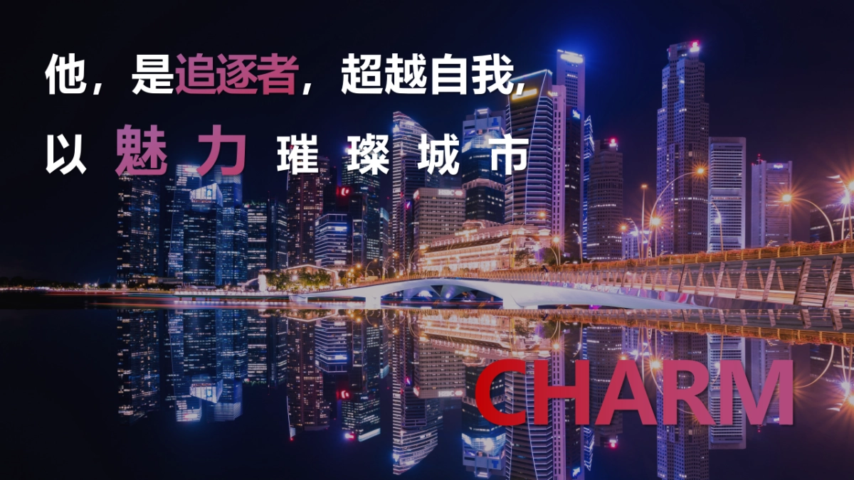 照明20周年庆典活动方案_第6页