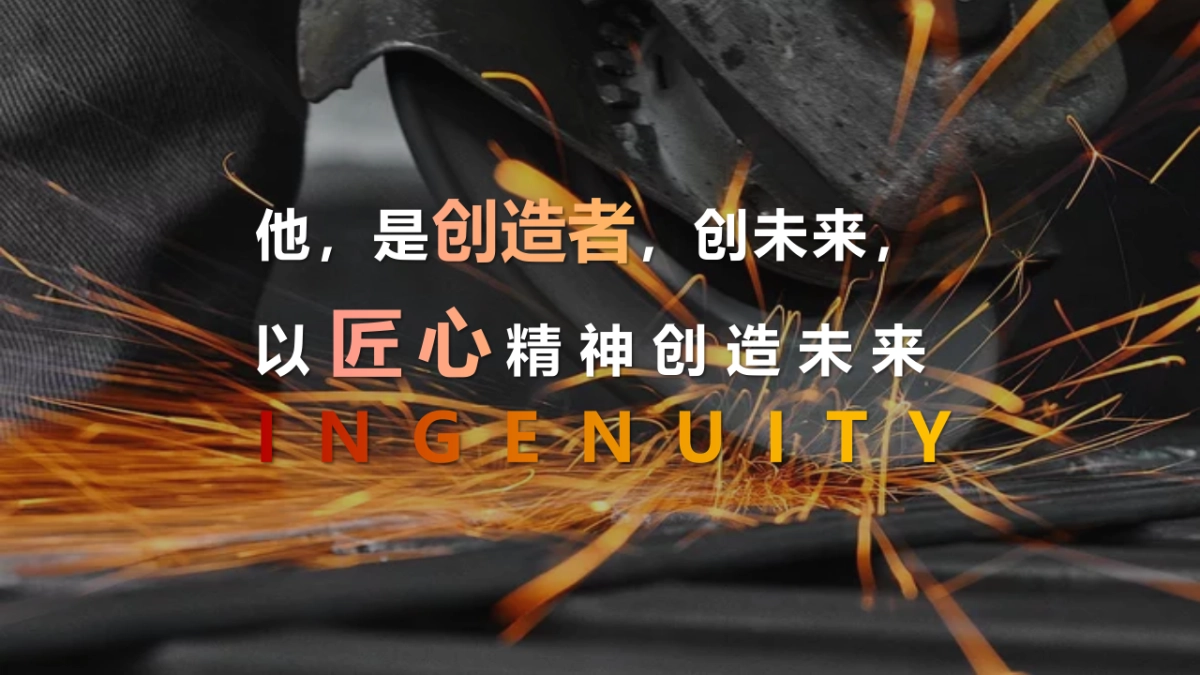 照明20周年庆典活动方案_第8页