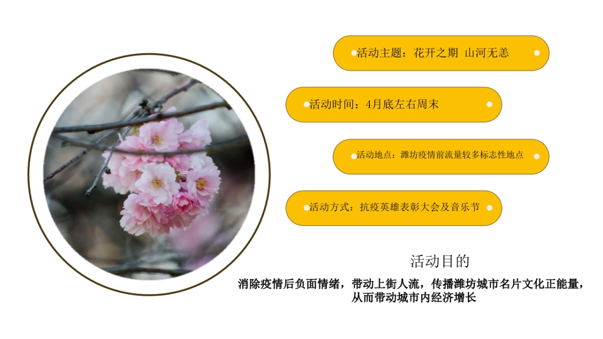 政府抗疫英雄表彰音乐盛典“花开之期 山河无恙”主题活动策划方案_第10页