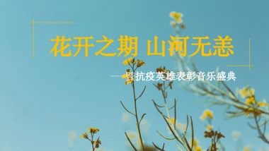 政府抗疫英雄表彰音乐盛典“花开之期 山河无恙”主题活动策划方案