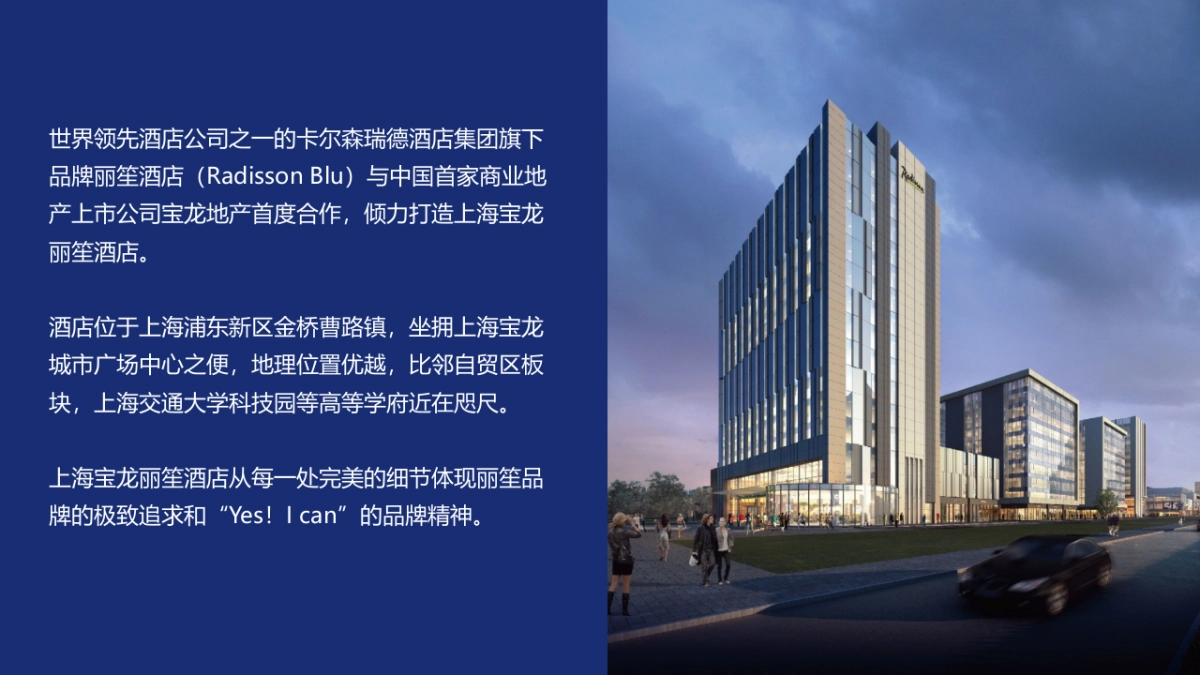 上海宝龙丽笙酒店开幕盛典活动方案_第4页