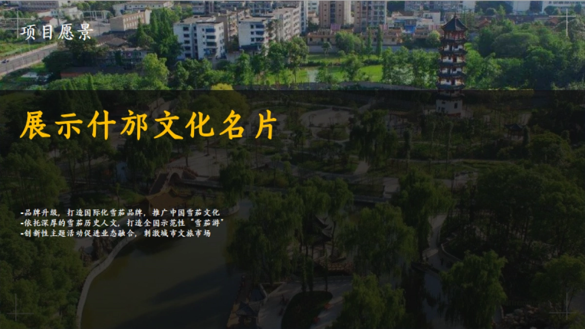 什邡雪茄节 -开幕式推介方案_第5页