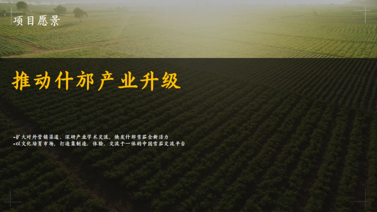 什邡雪茄节 -开幕式推介方案_第6页