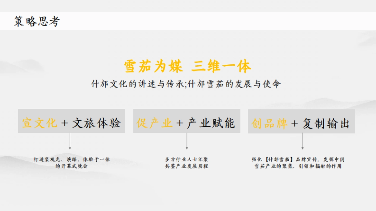 什邡雪茄节 -开幕式推介方案_第8页