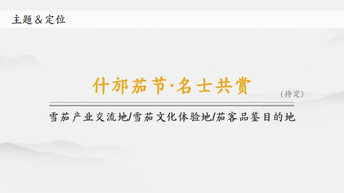 什邡雪茄节 -开幕式推介方案_第9页