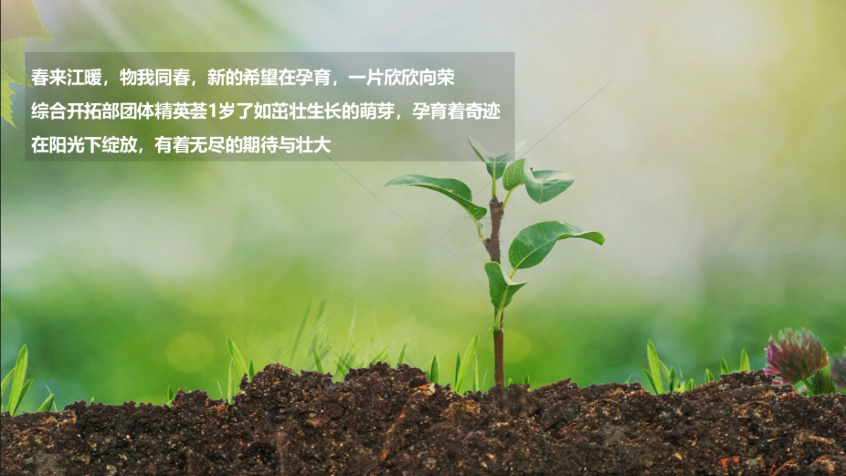 团体精英荟表彰盛典_第2页