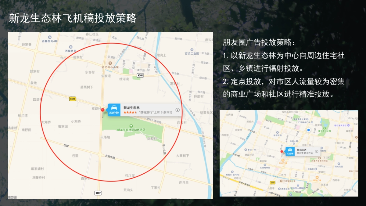新龙森林公园开放仪式_第10页