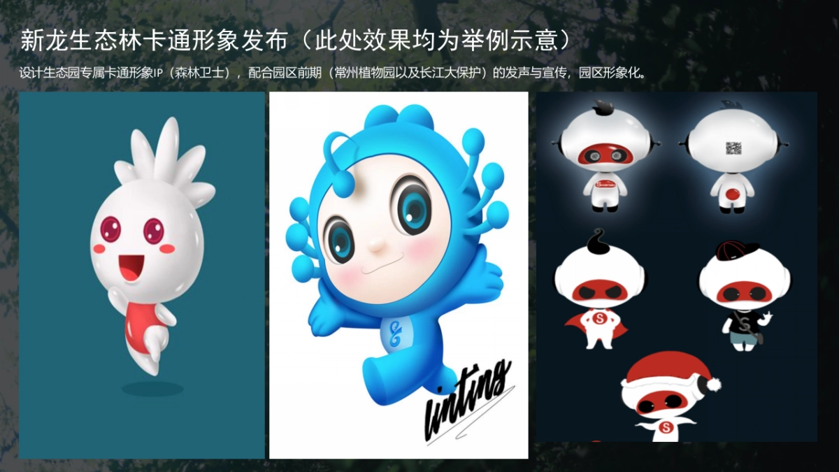 新龙森林公园开放仪式_第9页