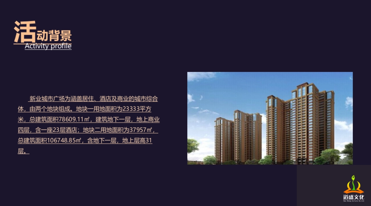 新业城市广场营销中心开放盛典方案（道盛文化）_第4页