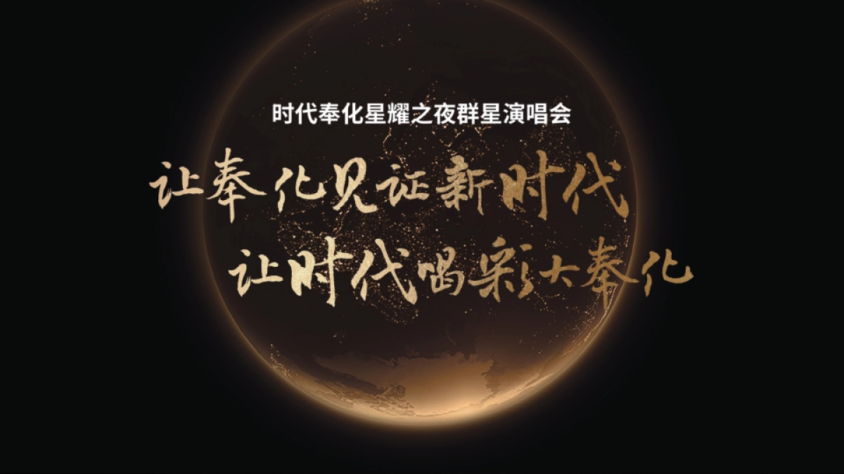 2017奉化时代地产明星拼盘演唱会策划案_第8页