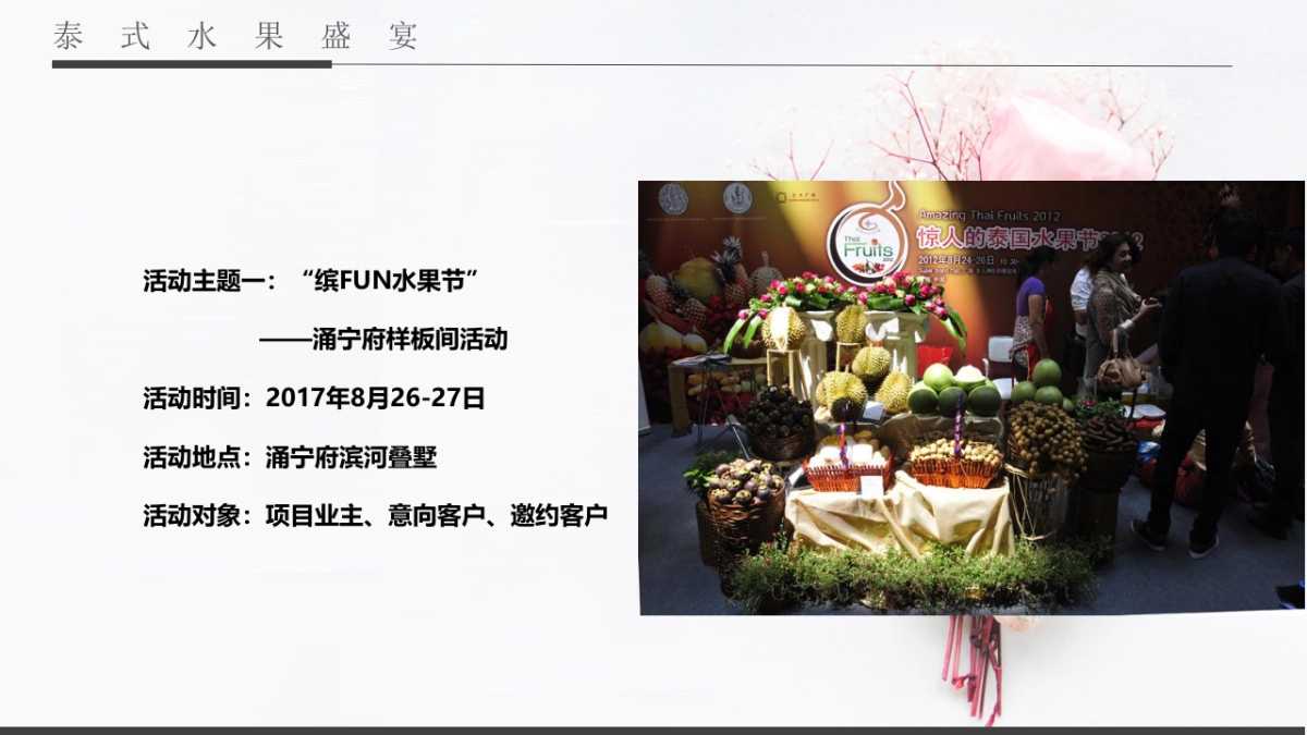 2017涌宁府叠墅样板房开放活动方案_第10页