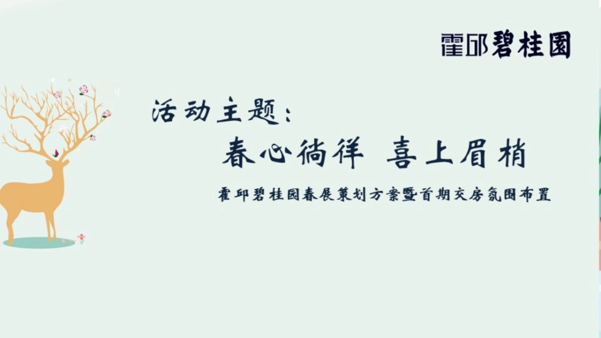 2018霍邱碧桂园春展策划方案暨首期交房氛围布置_第2页