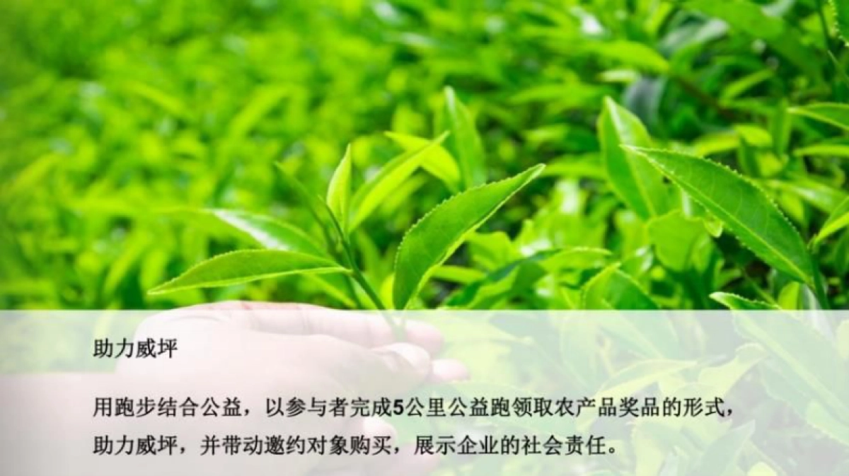 2018中房10周年系列活动之透明公益助力美丽乡村健康公益跑策划案_第5页