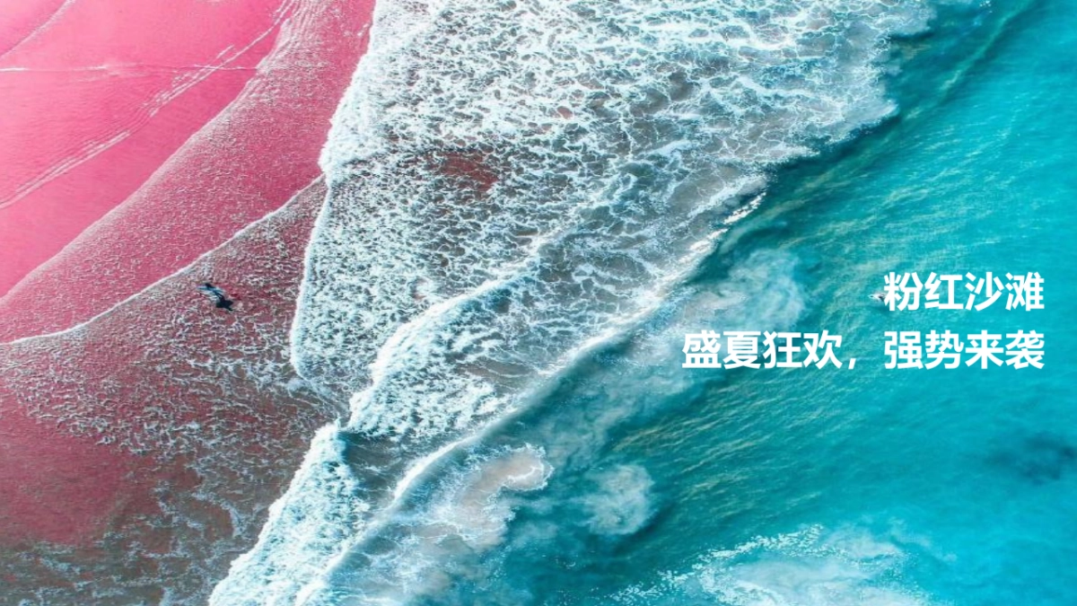 2019地产项目粉色水上派对活动策划方案_第2页