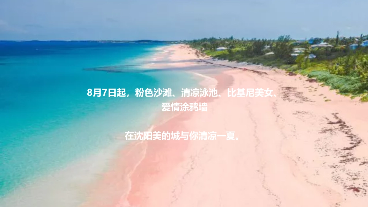 2019地产项目粉色水上派对活动策划方案_第5页