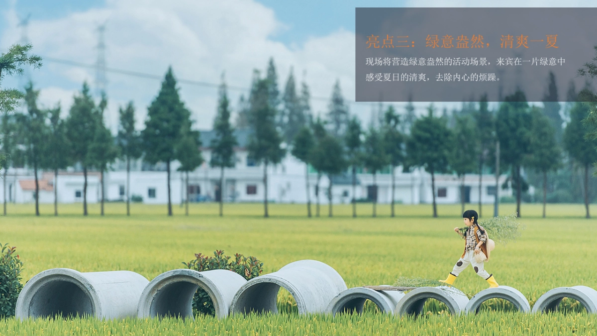 2020地产项目“遇见夏天主题”活动策划方案_第10页