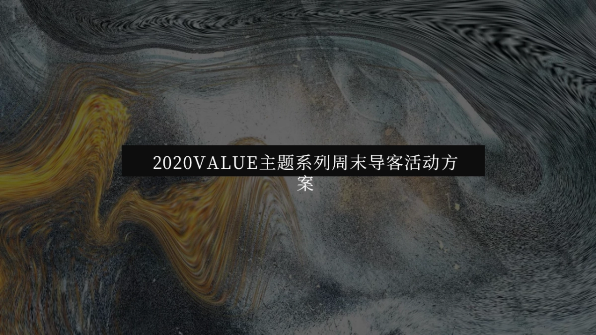 2020地产项目FUN享嘉年华 VALUE系列周末导客活动策划方案_第1页