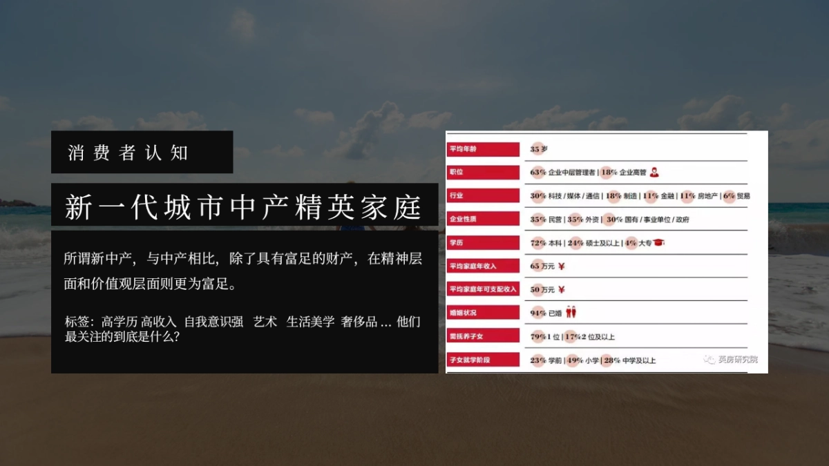 2020地产项目FUN享嘉年华 VALUE系列周末导客活动策划方案_第5页