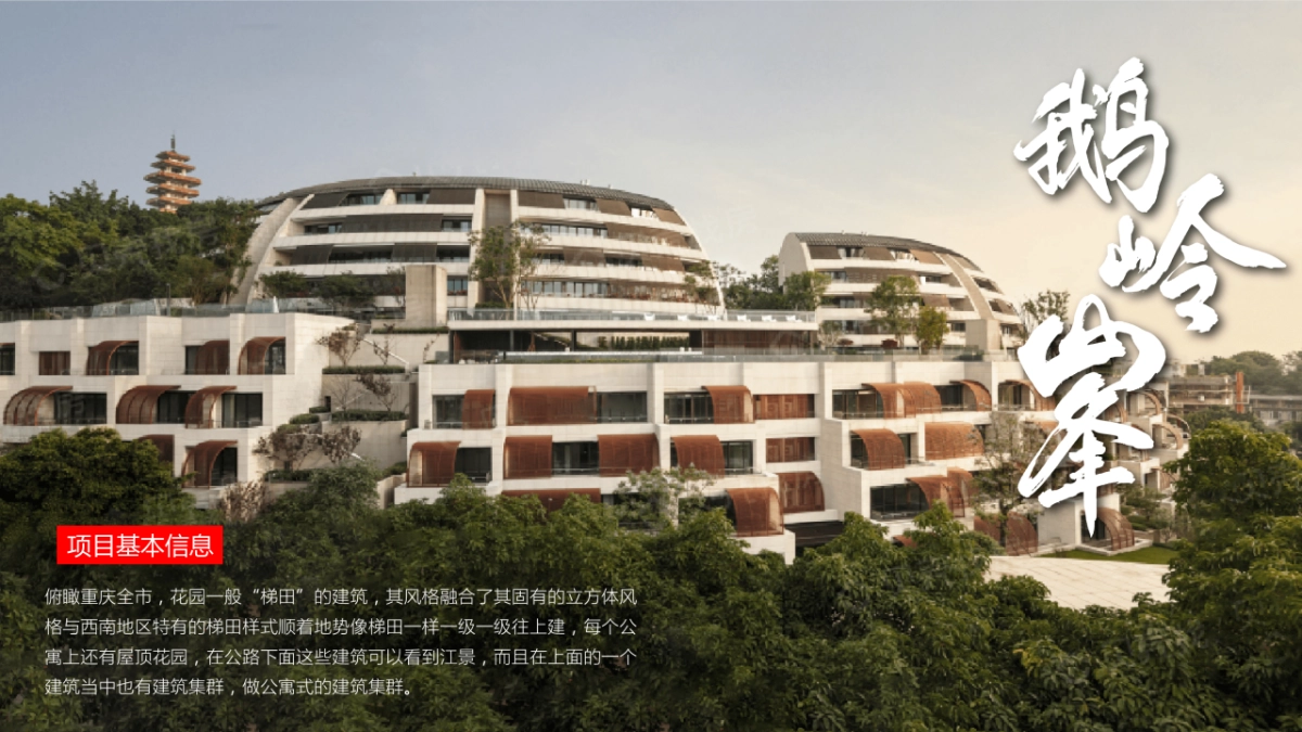 2020地产项目大平层集中交付活动策划方案_第10页