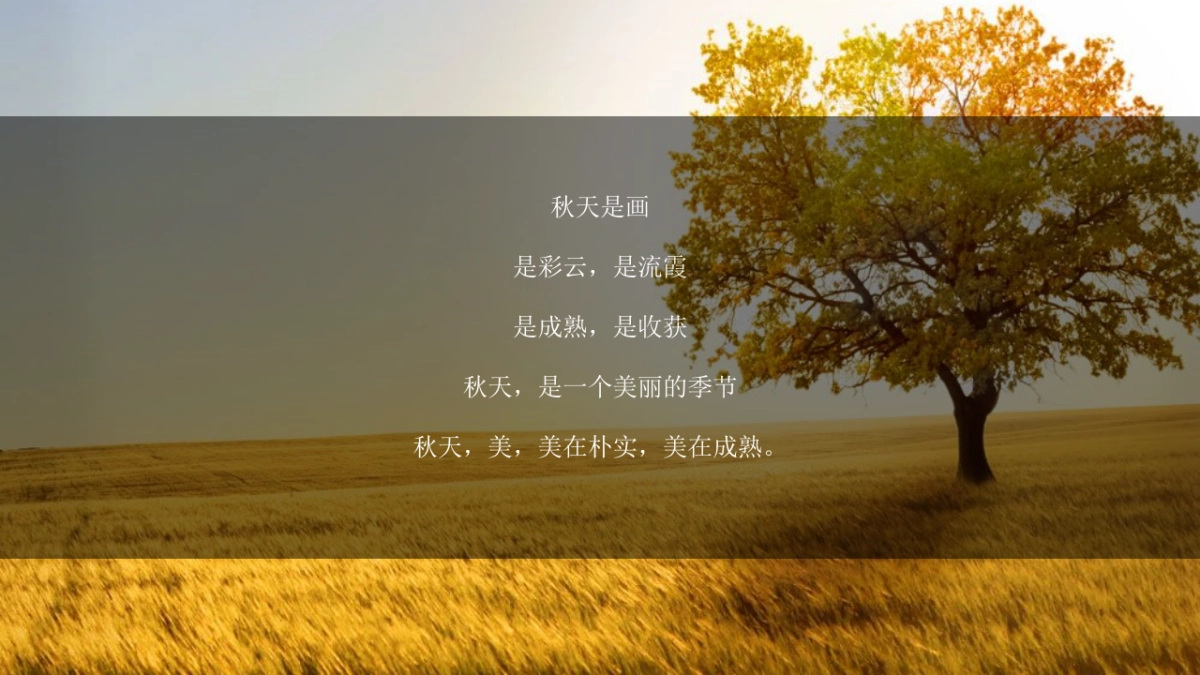 2020地产项目金秋10月-12月金秋派对系列活动策划方案_第3页