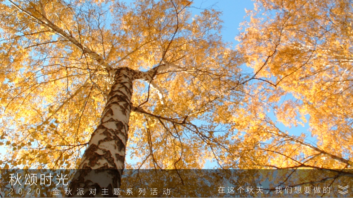 2020地产项目金秋10月-12月金秋派对系列活动策划方案_第4页