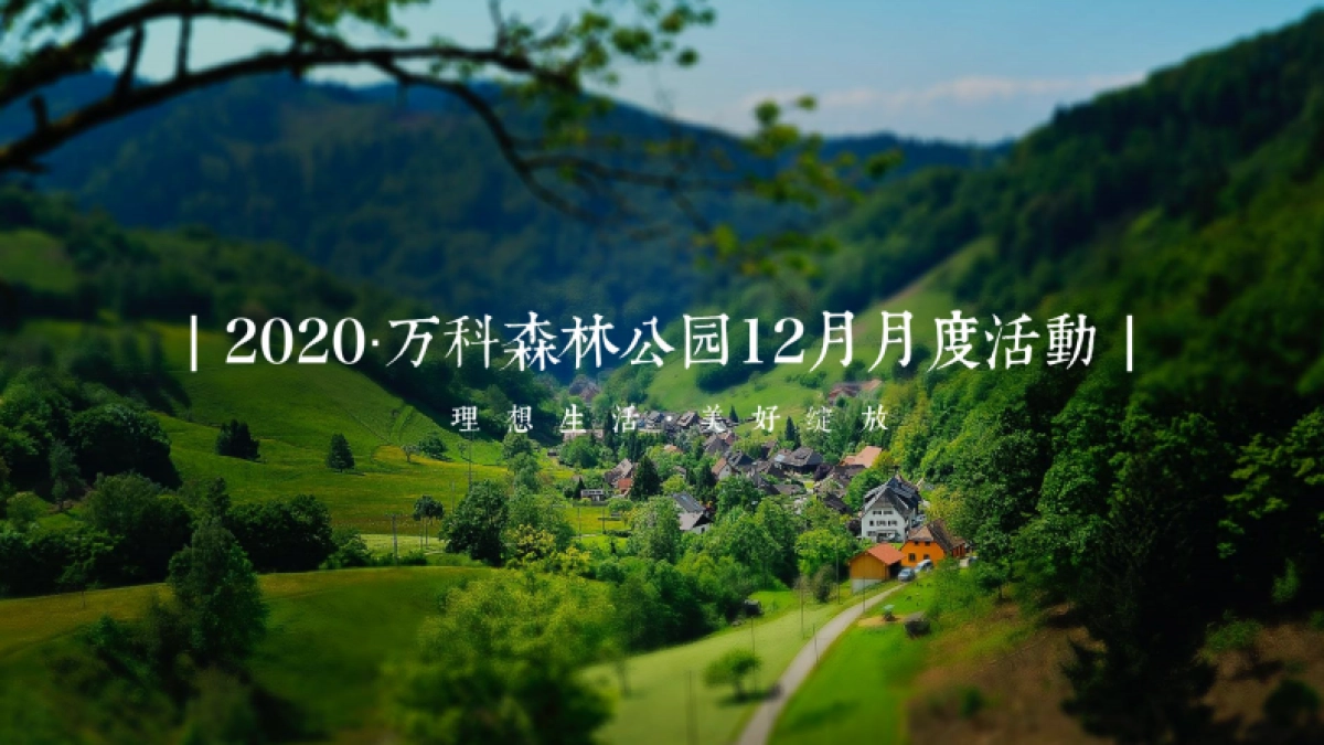 2020地产项目月度森林系列造势活动策划方案_第1页