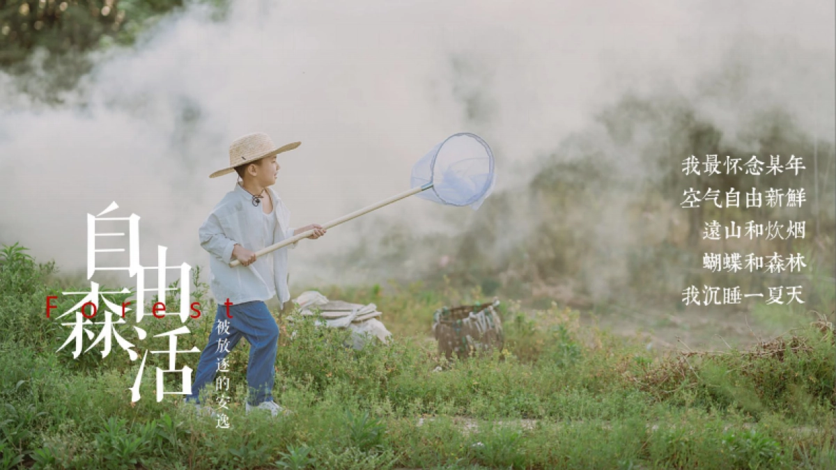 2020地产项目月度森林系列造势活动策划方案_第2页