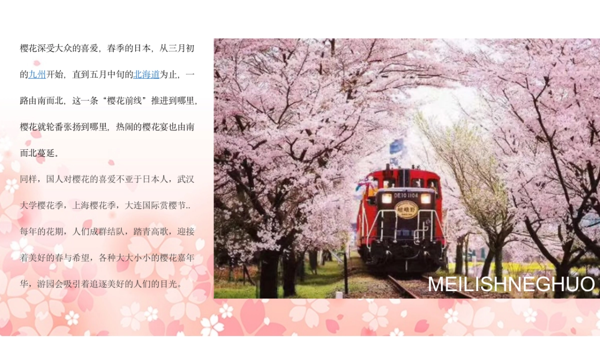 2021地产项目“不负春光 樱你而来”春季大型樱花游园会活动策划方案_第6页