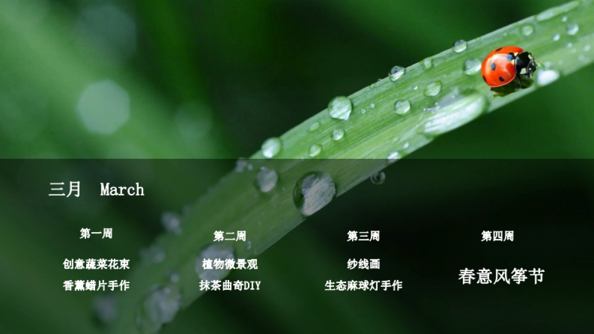 2021地产项目春季3-6月系列“春始万物生”活动策划方案_第10页