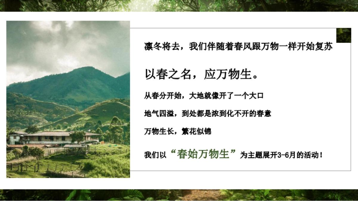 2021地产项目春季3-6月系列“春始万物生”活动策划方案_第4页