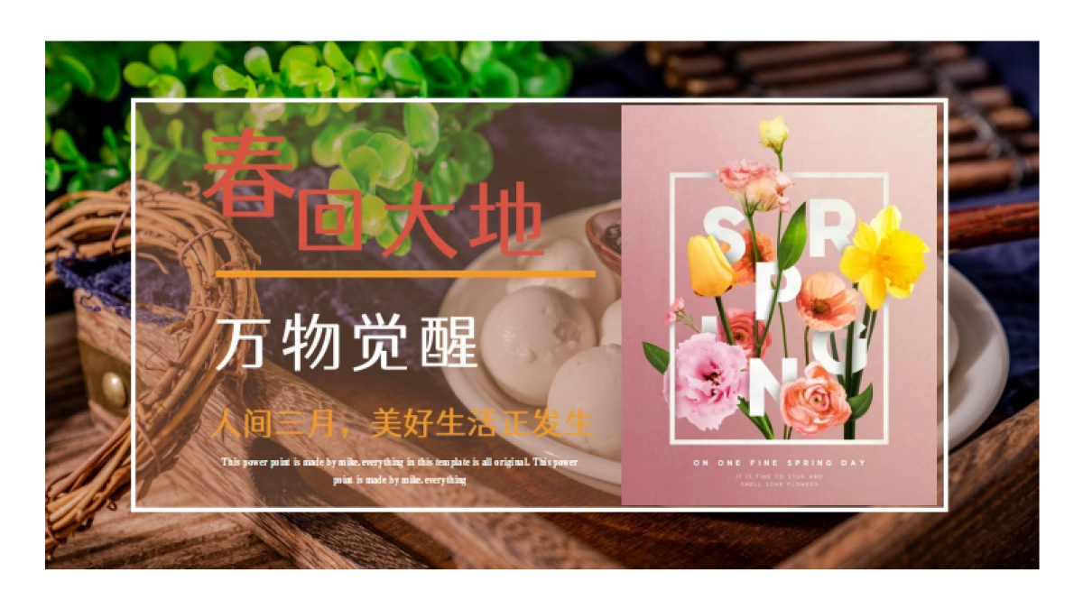 2021地产项目春季暖场“春回大地 万物觉醒”活动策划方案_第1页