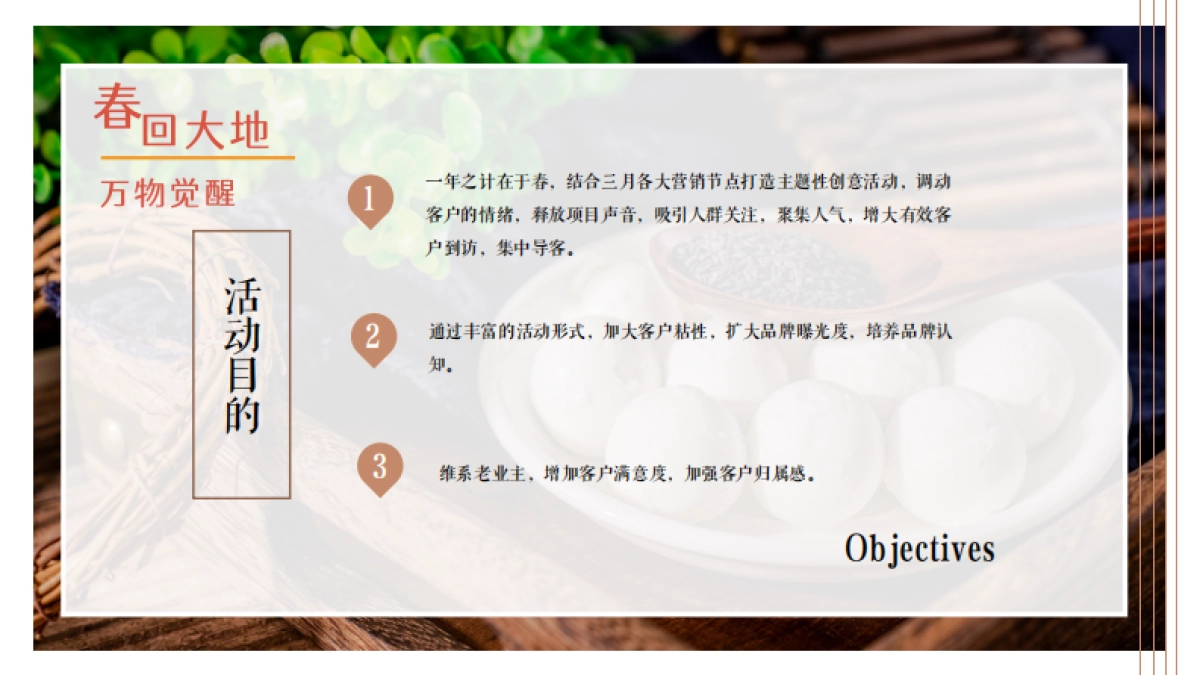 2021地产项目春季暖场“春回大地 万物觉醒”活动策划方案_第5页