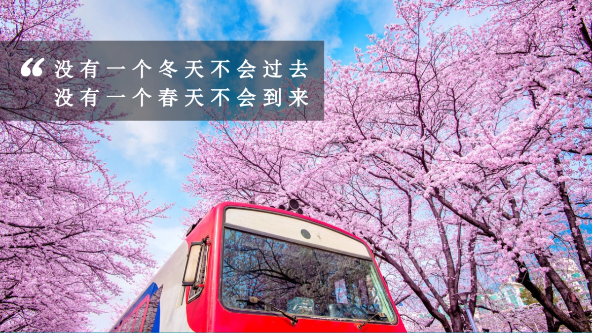 2021地产项目春季四月暖场系列“四月芳菲尽 春归万物归”活动策划方案_第4页