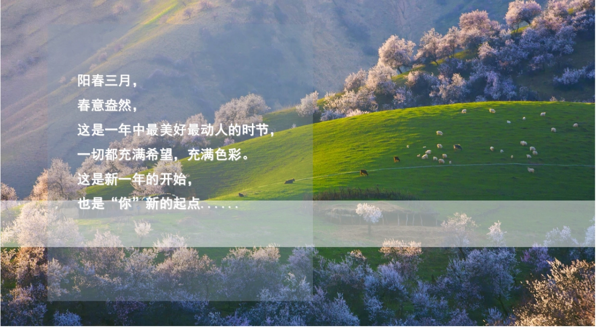 2021地产项目春天草地野餐活动策划方案_第2页