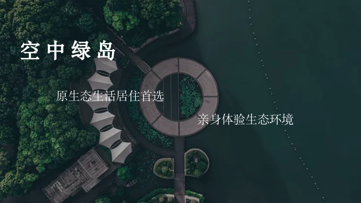 2021地产项目梦幻极光暨有氧音乐节“光鉴上城 城市巨响”活动策划方案_第5页