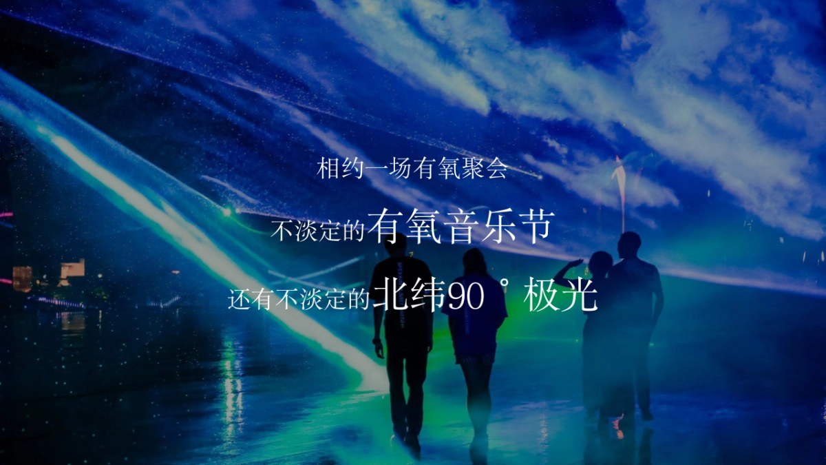 2021地产项目梦幻极光暨有氧音乐节“光鉴上城 城市巨响”活动策划方案_第7页