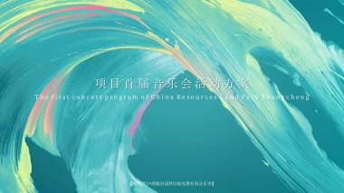 2021地产项目梦幻极光暨有氧音乐节“光鉴上城 城市巨响”活动策划方案