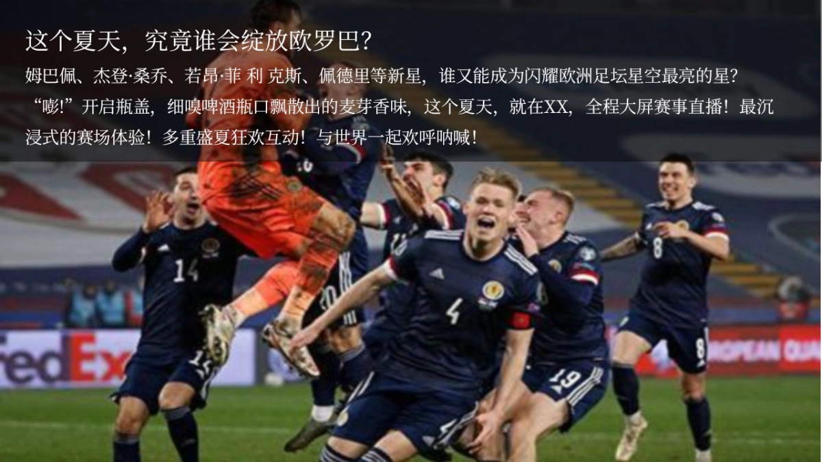 2021地产项目欧洲杯主题活动月暖场“燃情欧洲杯·盛夏过“足”瘾”活动策划方案_第5页