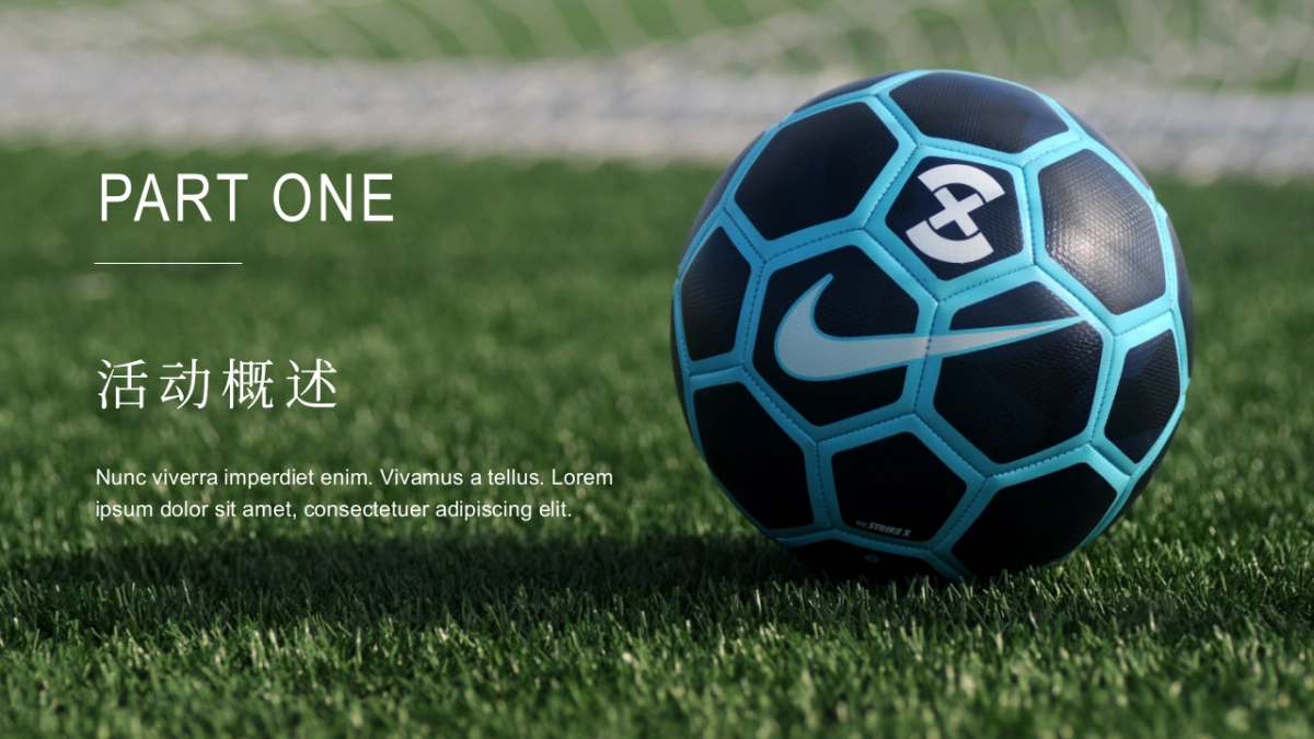 2021地产项目欧洲杯主题活动月暖场“燃情欧洲杯·盛夏过“足”瘾”活动策划方案_第8页