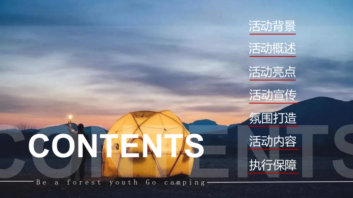 2022地产项目城市露营嘉年华狂欢“森系青年 精奢去野”活动策划方案_第2页