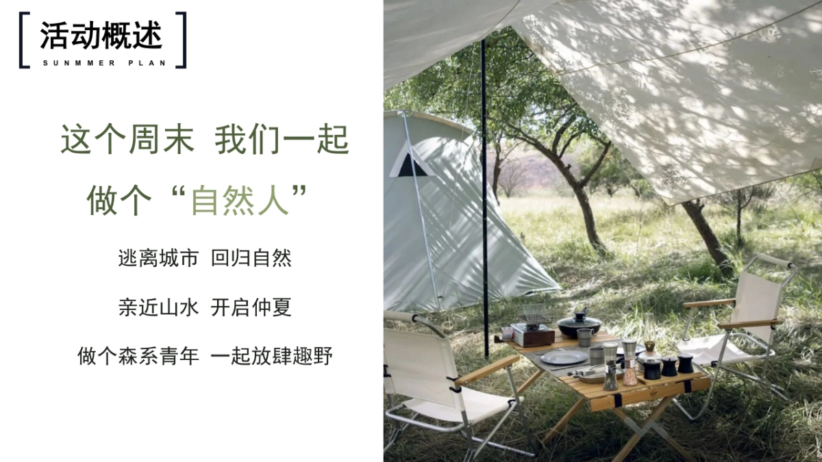 2022地产项目城市露营嘉年华狂欢“森系青年 精奢去野”活动策划方案_第8页