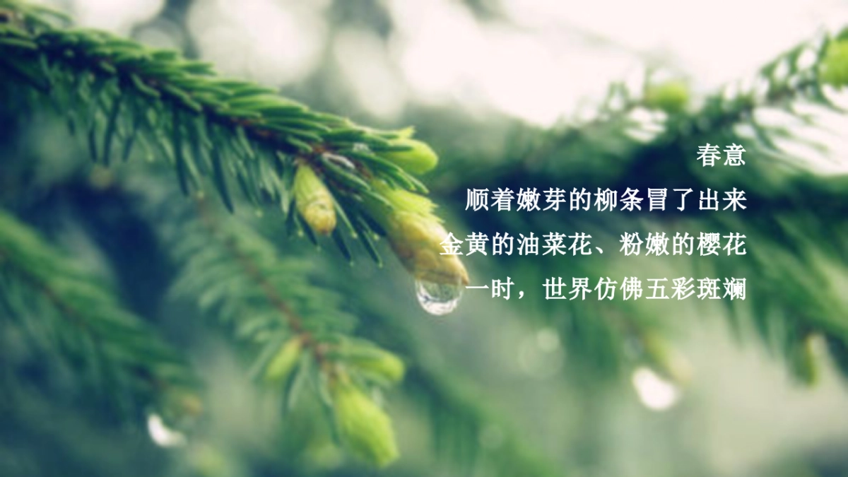 2022地产项目春季四月月度暖场“春日盛情 漫享时光”活动策划方案_第5页