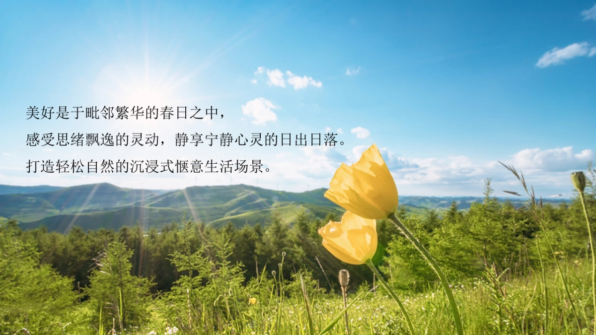 2022地产项目春季四月月度暖场“春日盛情 漫享时光”活动策划方案_第6页