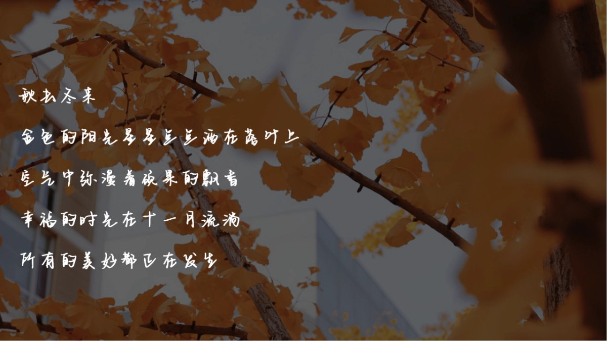 2021地产项目万象秋冬主题月“美好秋冬 如你所见”活动策划方案_第3页