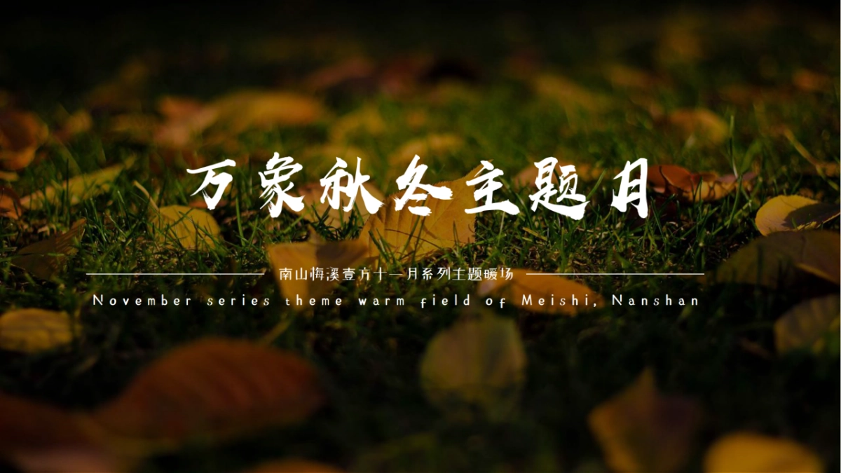 2021地产项目万象秋冬主题月“美好秋冬 如你所见”活动策划方案_第5页