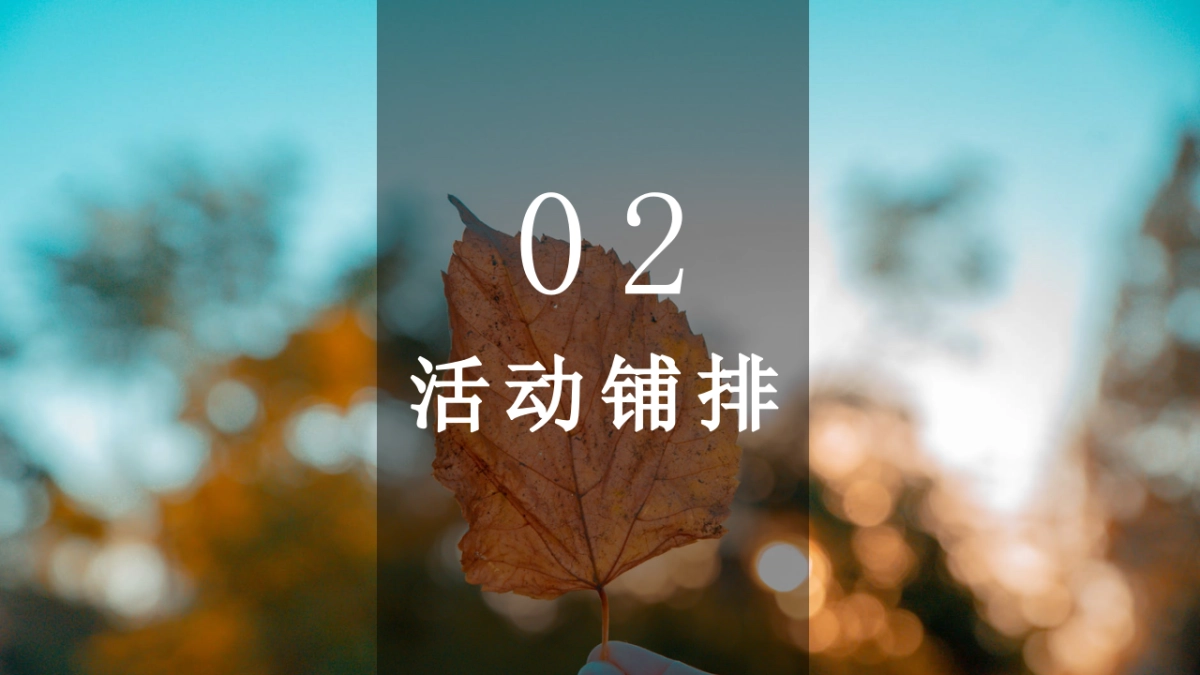 2021地产项目万象秋冬主题月“美好秋冬 如你所见”活动策划方案_第9页