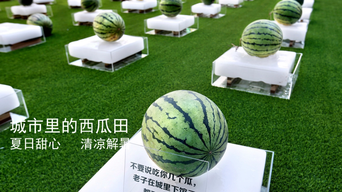 2021地产项目夏季“理想夏日生活节”活动策划方案_第10页